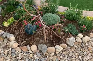 13063 Sandstone Dr, Broomfield, CO 80021 - Photo 25