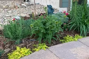 13063 Sandstone Dr, Broomfield, CO 80021 - Photo 23