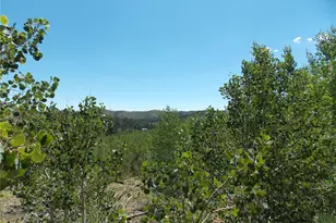 615 Valley Dr, Florissant, CO 80816 - Photo 1