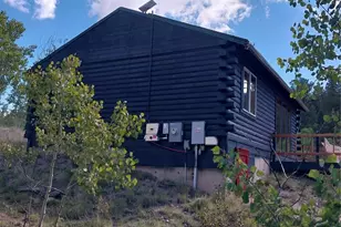 1391 Ute Trail, Como, CO 80432 - Photo 9