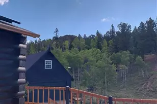 1391 Ute Trail, Como, CO 80432 - Photo 23