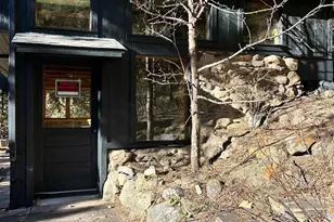 397 Glendale Gulch Rd, Jamestown, CO 80455 - Photo 9