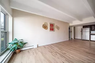 33 N Corona Street, Denver, CO 80218 - Photo 9