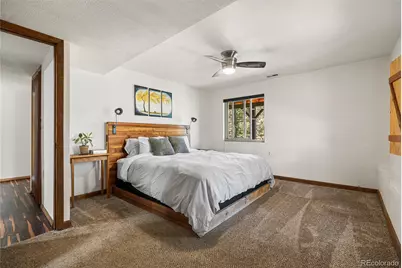 33769 Myrna Court, Pine, CO 80470 - Photo 29
