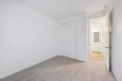 928 Steppe Lane, Windsor, CO 80550 - Photo 19