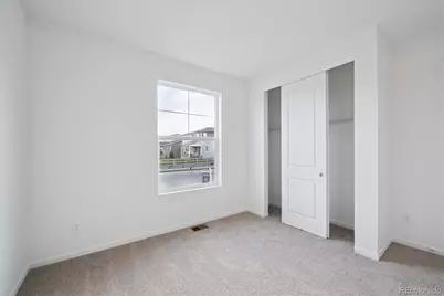 928 Steppe Lane, Windsor, CO 80550 - Photo 3