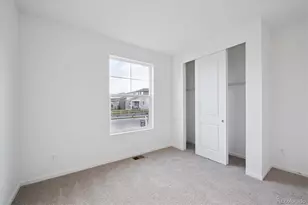 928 Steppe Ln, Windsor, CO 80550 - Photo 3