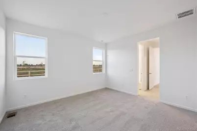 928 Steppe Lane, Windsor, CO 80550 - Photo 13