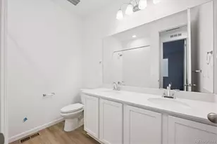 928 Steppe Ln, Windsor, CO 80550 - Photo 17