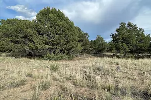 3383 Genial Way, Crestone, CO 81131 - Photo 1