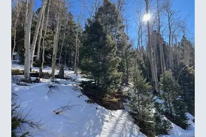 Lot 5339 Howard Road, Fort Garland, CO 81133 - Photo 5