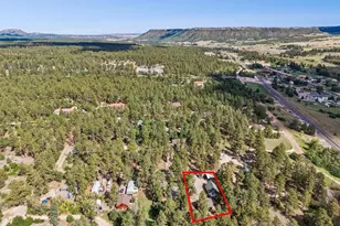 168 Columbine St, Larkspur, CO 80118 - Photo 35
