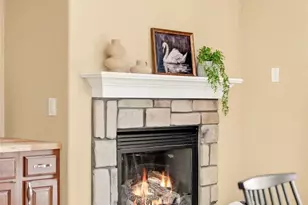 10664 Chandon Pl, Highlands Ranch, CO 80126 - Photo 11