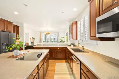 10664 Chandon Place, Highlands Ranch, CO 80126 - Photo 15