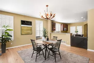 10664 Chandon Pl, Highlands Ranch, CO 80126 - Photo 13