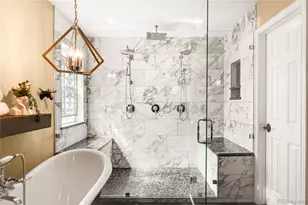 10664 Chandon Pl, Highlands Ranch, CO 80126 - Photo 33