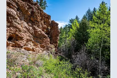 164 Fawn Creek Lane, Evergreen, CO 80439 - Photo 29