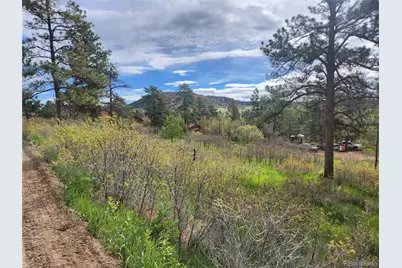 Buena Vista Avenue, Palmer Lake, CO 80133 - Photo 1