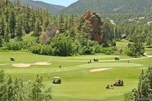 8332 Bannock Rd, Larkspur, CO 80118 - Photo 47