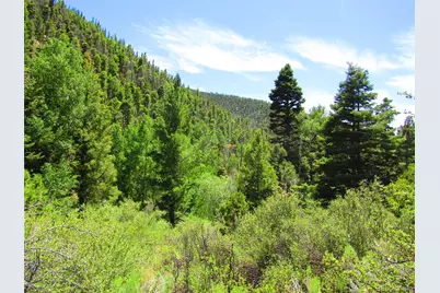 Lot 5526 Joy Road, Fort Garland, CO 81133 - Photo 1