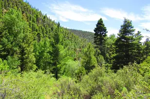 Lot 5526 Joy Rd, Fort Garland, CO 81133 - Photo 1