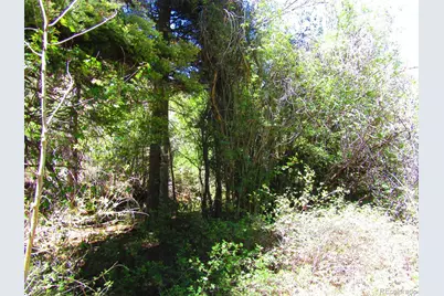 Lot 5526 Joy Road, Fort Garland, CO 81133 - Photo 11
