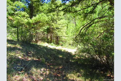 Lot 5526 Joy Road, Fort Garland, CO 81133 - Photo 9