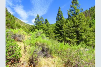 Lot 5526 Joy Road, Fort Garland, CO 81133 - Photo 5
