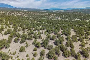 14051 US Hwy 285, Salida, CO 81201 - Photo 49