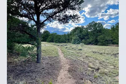 14051 US Highway 285, Salida, CO 81201 - Photo 35