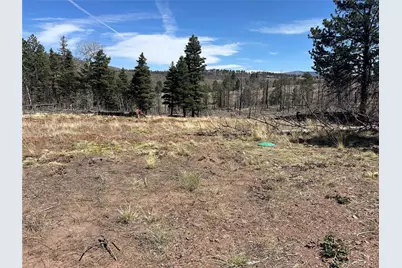 Lot 542 Forbes Park, Fort Garland, CO 81133 - Photo 9