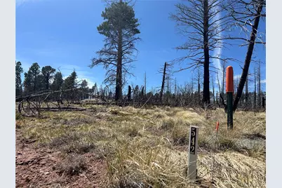 Lot 542 Forbes Park, Fort Garland, CO 81133 - Photo 21