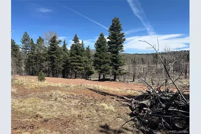 Lot 542 Forbes Park, Fort Garland, CO 81133 - Photo 13