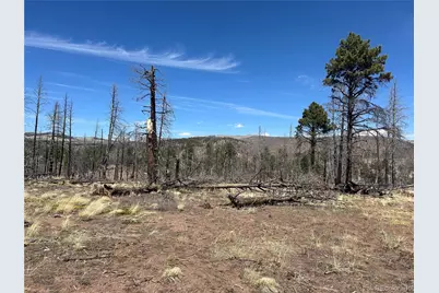 Lot 542 Forbes Park, Fort Garland, CO 81133 - Photo 7