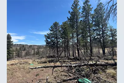 Lot 542 Forbes Park, Fort Garland, CO 81133 - Photo 15