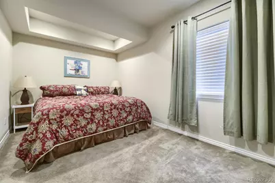 10052 Bristleridge Street, Parker, CO 80134 - Photo 21
