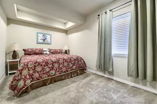10052 Bristleridge St, Parker, CO 80134 - Photo 21