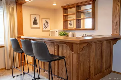 698 Larimer Creek Drive, Monument, CO 80132 - Photo 31