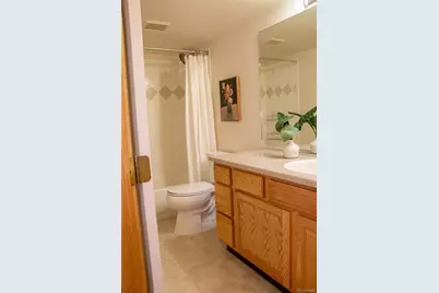 698 Larimer Creek Drive, Monument, CO 80132 - Photo 37