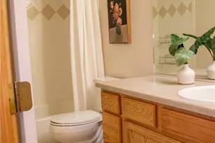 698 Larimer Creek Dr, Monument, CO 80132 - Photo 37