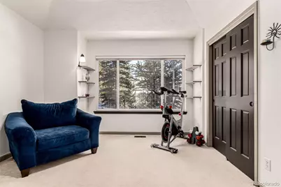 308 Red Hawk Circle, Silverthorne, CO 80498 - Photo 29