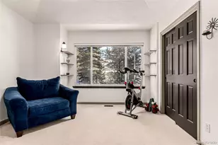 308 Red Hawk Cir, Silverthorne, CO 80498 - Photo 29
