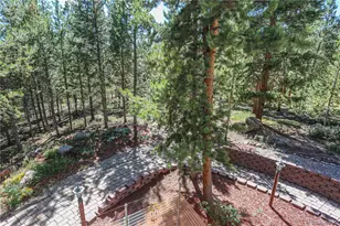 308 Red Hawk Cir, Silverthorne, CO 80498 - Photo 41