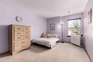 308 Red Hawk Cir, Silverthorne, CO 80498 - Photo 27