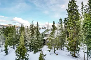 308 Red Hawk Cir, Silverthorne, CO 80498 - Photo 47