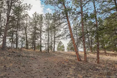 000 Twinkle Road, Guffey, CO 80820 - Photo 13