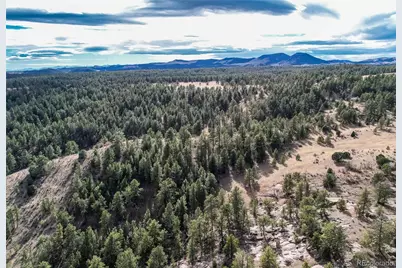 000 Twinkle Road, Guffey, CO 80820 - Photo 17