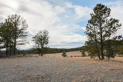 000 Twinkle Road, Guffey, CO 80820 - Photo 5
