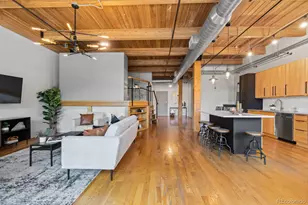 2955 Inca St, Denver, CO 80202 - Photo 1