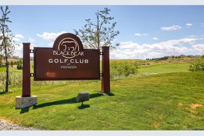 11943 Song Bird Hills Street, Parker, CO 80138 - Photo 39